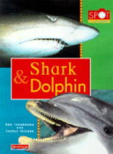 Beispielbild fr Spot the Difference: Shark and Dolphin (Paperback) zum Verkauf von AwesomeBooks