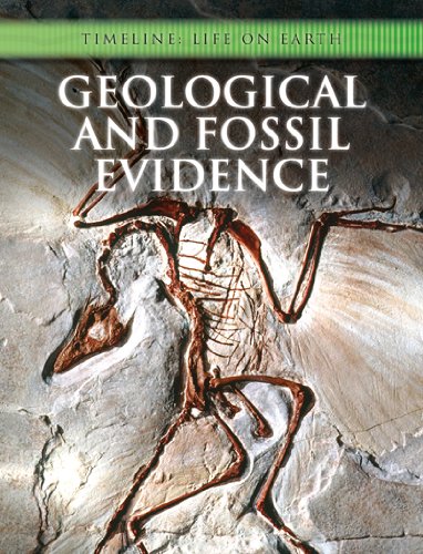 Stock image for Geological and Fossil Evidence (Timeline: Life on Earth) for sale by Brit Books