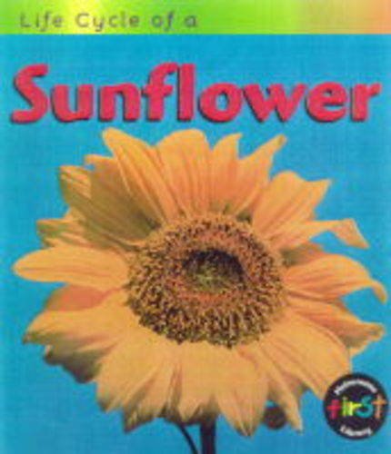 Stock image for Sunflower (Life Cycles) for sale by AwesomeBooks