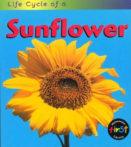 Stock image for Sunflower (Life Cycles) for sale by AwesomeBooks