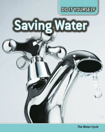 Saving Water (Do It Yourself Ecology) (9780431111254) by Buffy Silverman; Carol Ballard; Rachel Lynette