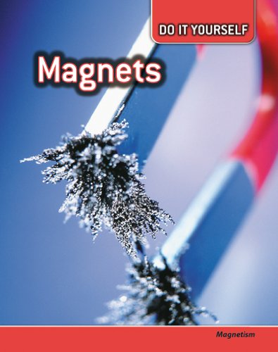 Magnets: Magnetism (Do It Yourself) (9780431111469) by Lynette, Rachel