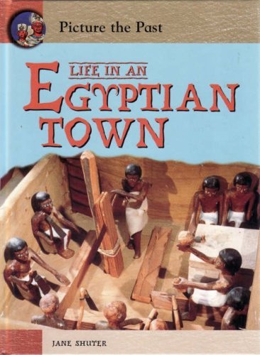 Picture the Past: Life in an Egyptian Town (9780431113029) by Jane Shuter