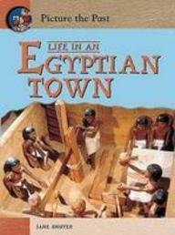 Life in an Egyptian Town (Picture the Past) (Picture the Past) (9780431113104) by Jane Shuter