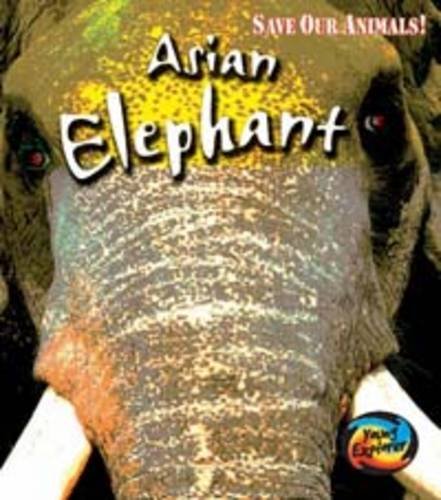 Stock image for Save the Asian Elephant (Young Explorer: Save Our Animals S.) for sale by Goldstone Books