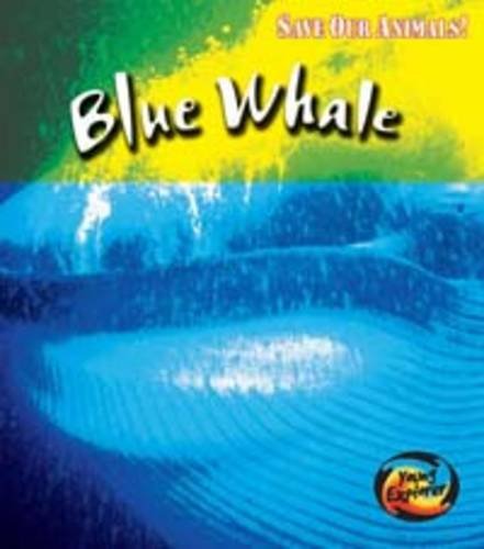 Stock image for Save the Blue Whale (Young Explorer: Save Our Animals) for sale by Goldstone Books