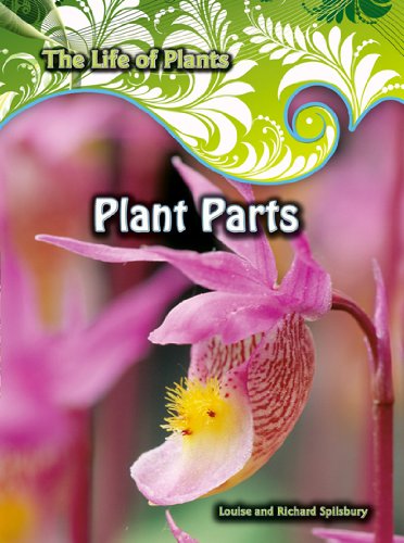 Plant Parts (Life of Plants) (9780431119694) by Spilsbury, Louise