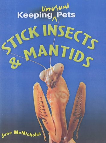 Stock image for Stick Insects (Keeping Unusual Pets) for sale by WorldofBooks