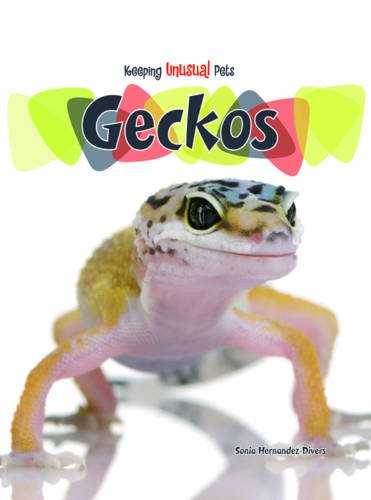 9780431125534: Geckos (Keeping Unusual Pets)