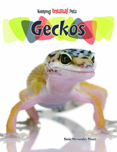 Beispielbild fr Geckos (Keeping Unusual Pets) zum Verkauf von Reuseabook