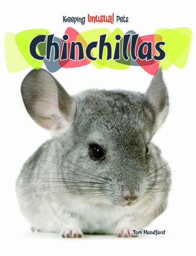 Stock image for Chinchillas (Keeping Unusual Pets) for sale by Reuseabook