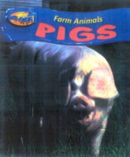 Stock image for Take Off: Farm Animals Pigs Paperback for sale by WorldofBooks