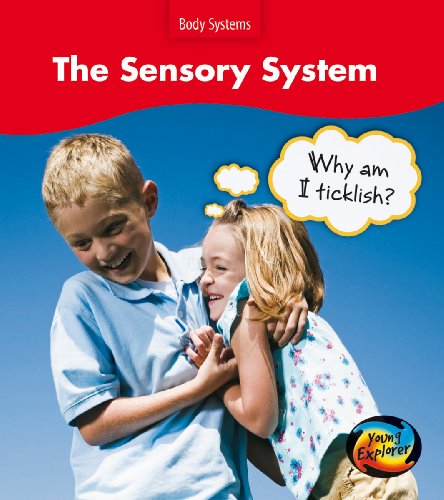 The Sensory System (Body Systems) (9780431138176) by Sue Barraclough