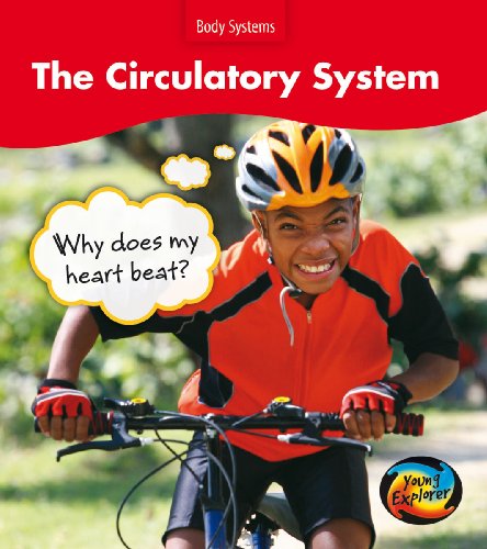 The Circulatory System: Why does my heart beat? (Young Explorer: Body Systems) (9780431138213) by Barraclough, Sue