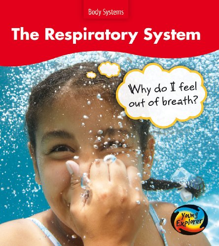 Respiratory System: Why am I out of Breath? (Young Explorer: Body Systems) (9780431138220) by Barraclough, Sue