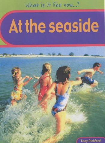 Imagen de archivo de What Is It Like Now? At The Seaside Hardback a la venta por AwesomeBooks