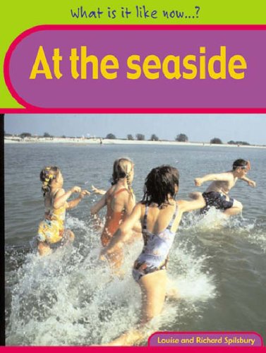 Stock image for What Is It Like Now? At The Seaside Hardback for sale by AwesomeBooks
