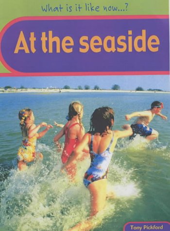 9780431150031: What Is It Like Now? At the Seaside (What Is It Like Now?)
