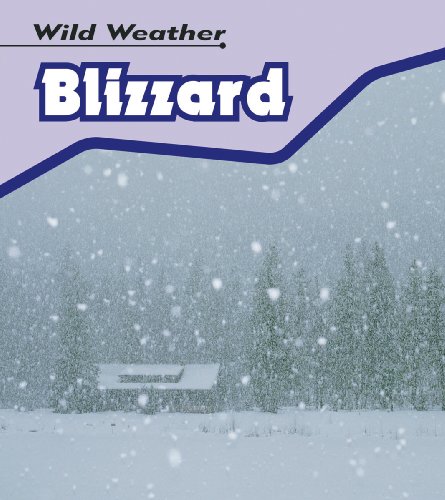 9780431150925: Blizzard (Wild Weather) (Wild Weather)