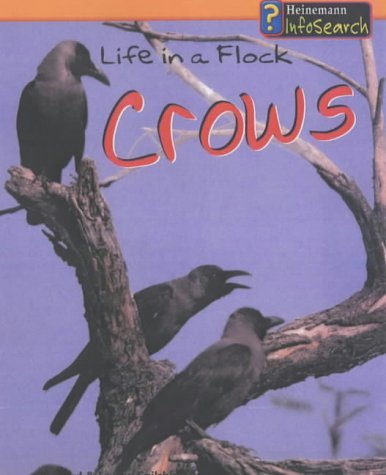 9780431169255: Animal Groups: Life in a Flock of Crows Hardback