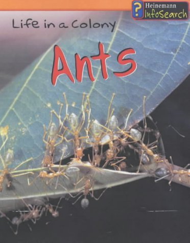 Stock image for Animal Groups: Life in a Colony - Ants (Animal Groups) for sale by Goldstone Books