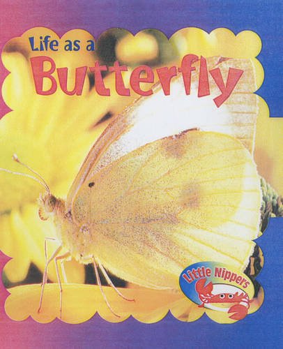 9780431170909: Little Nippers: Life as a Butterfly Big Book