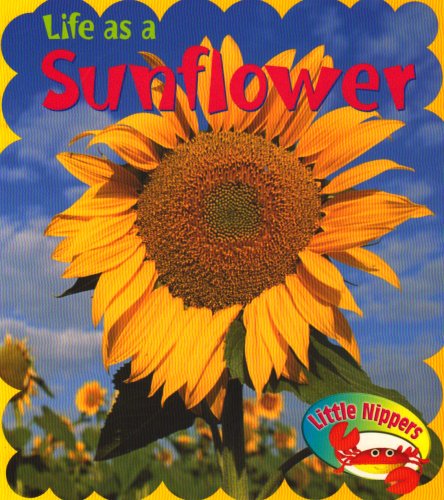 9780431171074: Little Nippers - Life as a Sunflower (Little Nippers - Life as a)