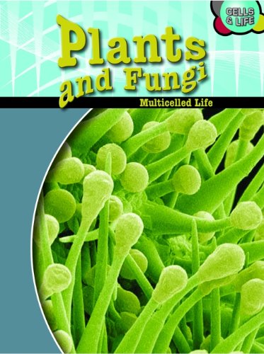 Plants & Fungi: Multicelled Life. Robert Snedden (Cells & Life (Paperback)) (9780431174716) by Robert Snedden