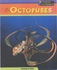 Sea Creatures: Octopuses (Sea Creatures) (9780431182001) by Stille, Darlene; Laskey, Elizabeth; Baldwin, Carol