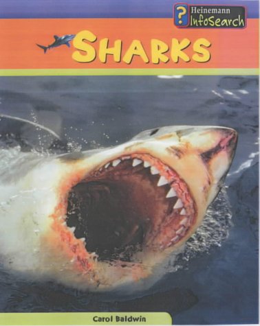 Sea Creatures: Sharks (Sea Creatures) (9780431182032) by Darlene Stille