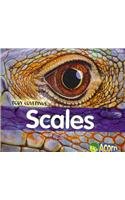 9780431182858: Scales (Body Coverings)