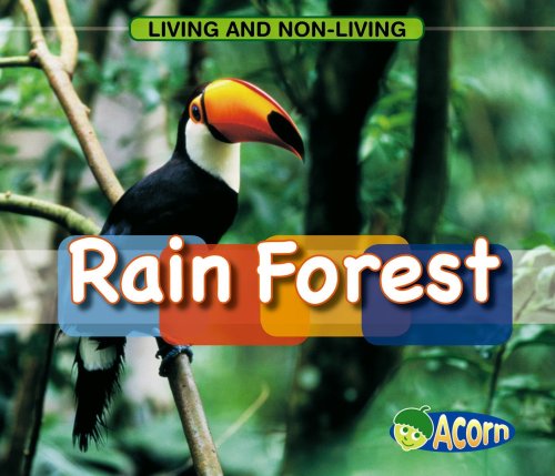 9780431184616: In a Rain Forest (Living and Nonliving)