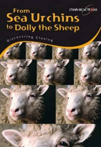 From sea urchins to Dolly the sheep: Discovering cloning (Chain Reactions!) (9780431186016) by Morgan, Sally