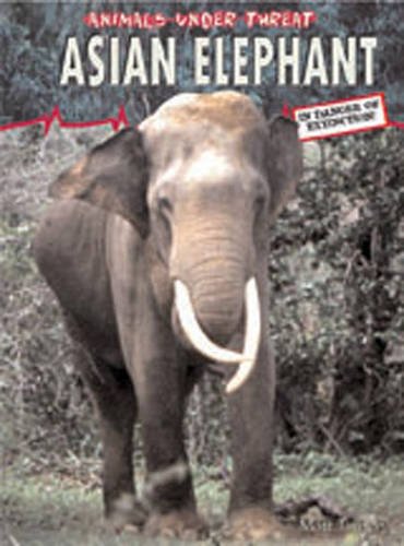 Stock image for Asian Elephant (Animals Under Threat) for sale by Reuseabook