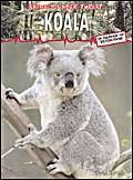 Beispielbild fr Koala (Animals under threat) zum Verkauf von medimops