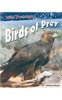 Birds of Prey (Wild Predators) (Wild Predators) (9780431189987) by Andrew Solway