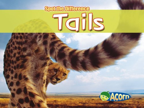 Tails (Spot the Difference) (Spot the Difference) (9780431191386) by Daniel Nunn