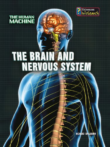 9780431192024: The Brain and Nervous System (The Human Machine)