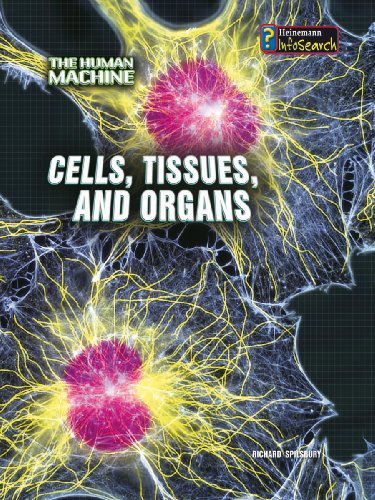 Cells, Tissues, and Organs (Human Machine) - Spilsbury, Richard