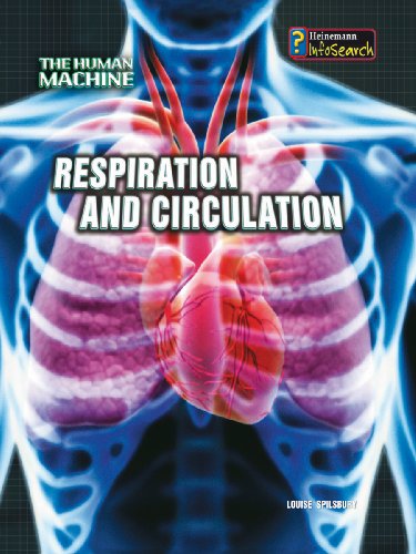 9780431192062: Respiration and Circulation (The Human Machine)