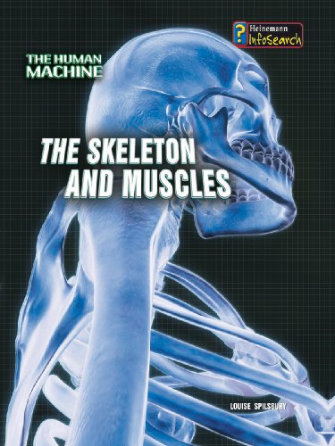 The Skeleton and Muscles (Human Machine) - Spilsbury, Louise