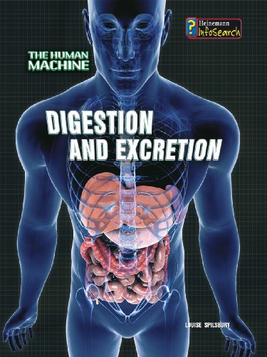9780431192116: Digestion and Excretion (Human Machine) (The Human Machine)