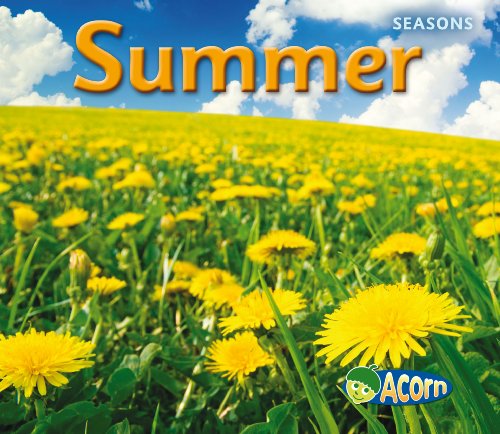9780431192840: Summer (Seasons)