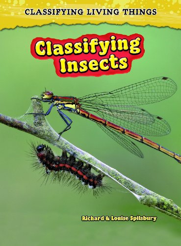 9780431193786: Classifying Insects
