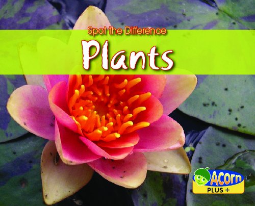 Beispielbild fr Can You Spot the Difference Plants (Acorn Plus) (Natural Science) zum Verkauf von WorldofBooks