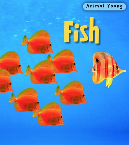 9780431932347: Fish (Animal Young)