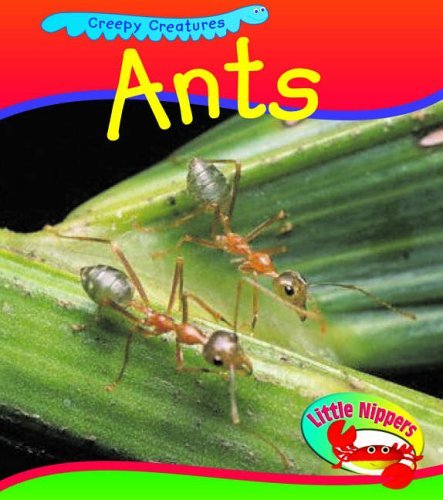 Ant (Little Nippers: Creepy Creatures) (9780431932606) by Sue Barraclough