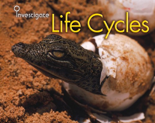 Life Cycles (Investigate) (9780431932712) by [???]