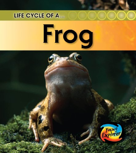 Stock image for Life Cycle of a Frog (Young Explorer: Life Cycles) for sale by Phatpocket Limited
