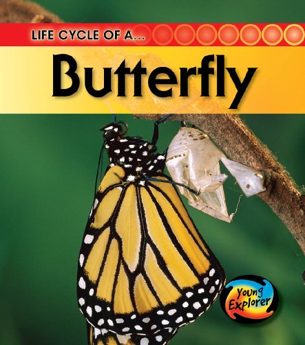 9780431999470: Life Cycle of a Butterfly (Young Explorer: Life Cycles)